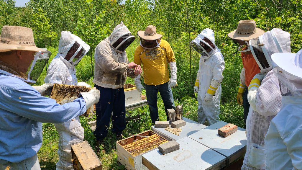 Hive Inspection - May 30, 2026 (12pm-2pm)