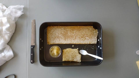 Honey Extraction - August 2023 (Date TBD)