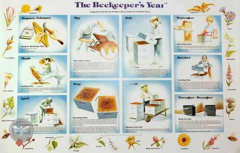 Poster - Beekeeper's Year