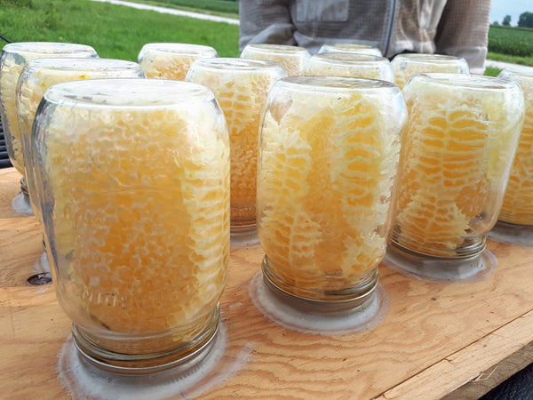 BLB Honey Mason Jar Honey Super Kit