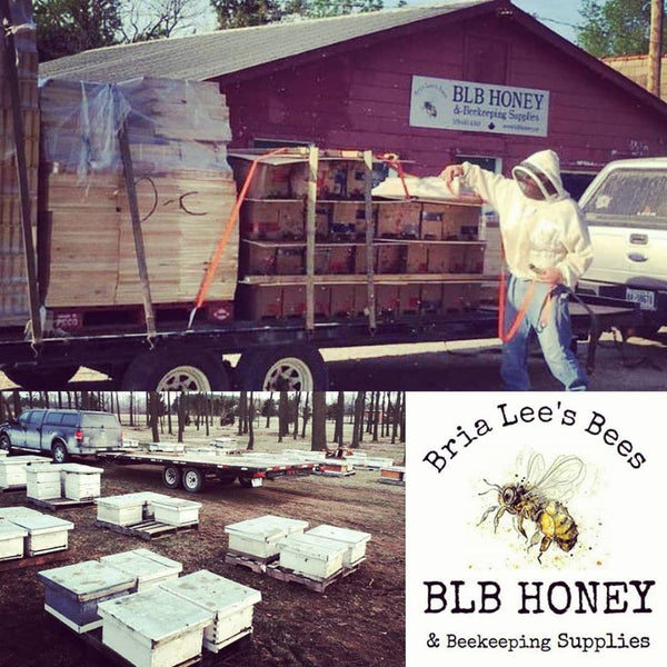 Single Brood Hive for pick up June 24th, 2023*