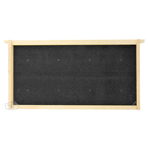 Deep Frame Assembled - Canacell Black Foundation