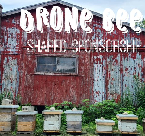 Drone Bee - Shared Sponsorship