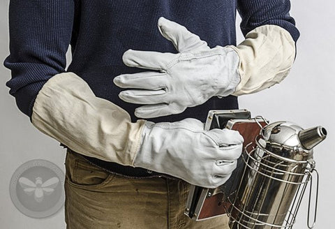 Bee Steward Gloves