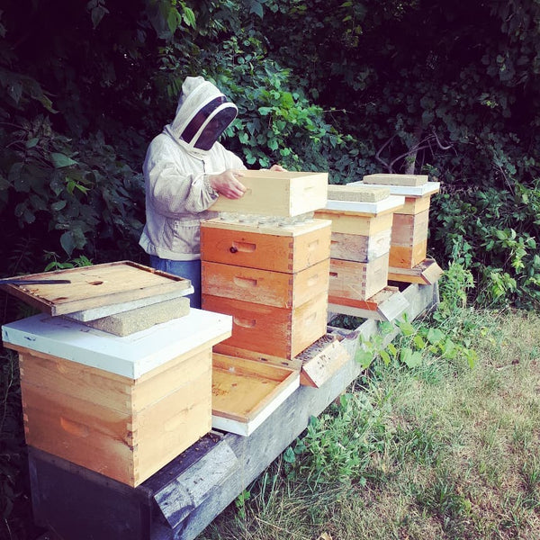 BLB Honey Mason Jar Honey Super Kit