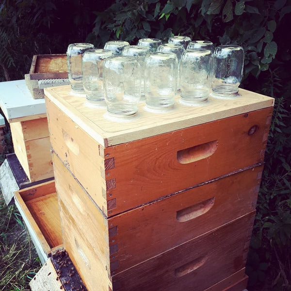 BLB Honey Mason Jar Honey Super Kit